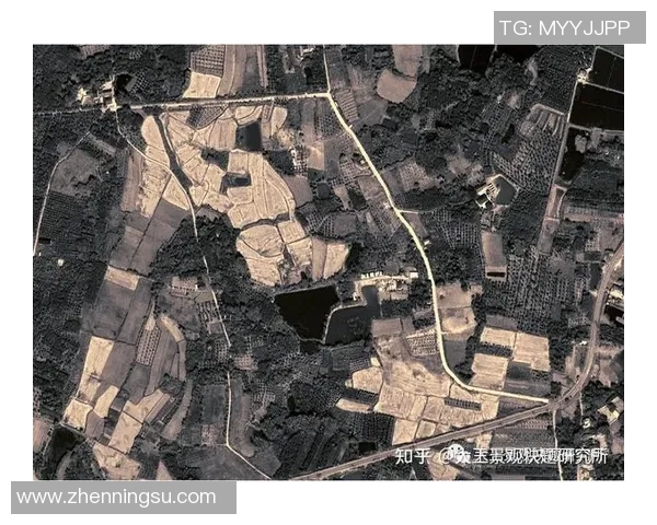 独家解析西安排球队战术特点及其相互对比分析