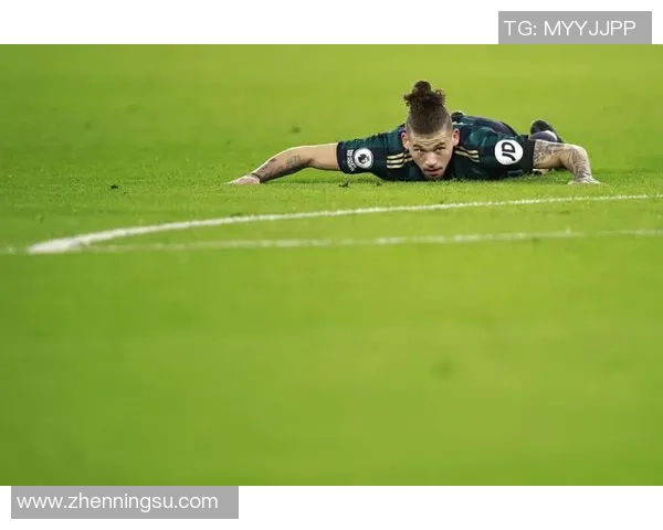 足球明星伤病回顾与分析：从赛场到康复的艰辛旅程